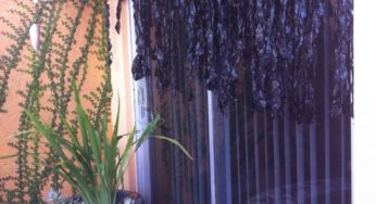 :: Creepy Halloween Drape Curtains :: Unique Halloween Outdoor Decorations ::