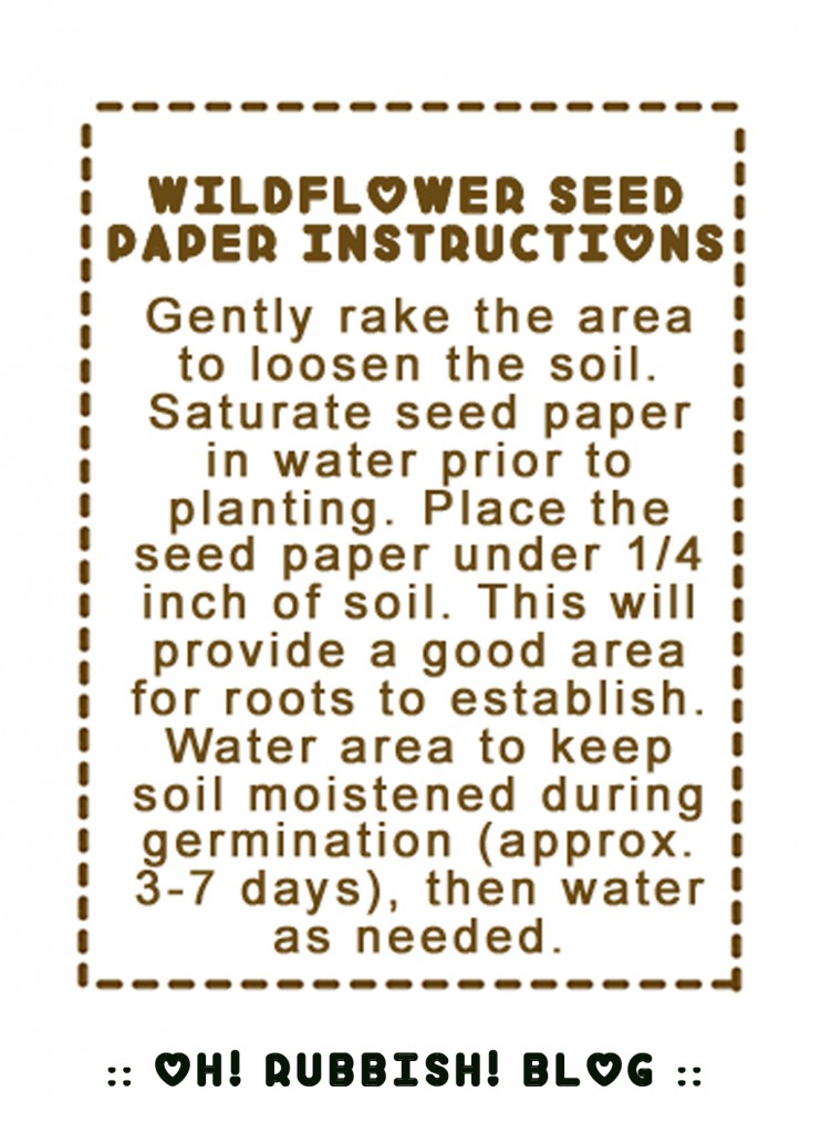 Wildflower Seed Instructions Printable
