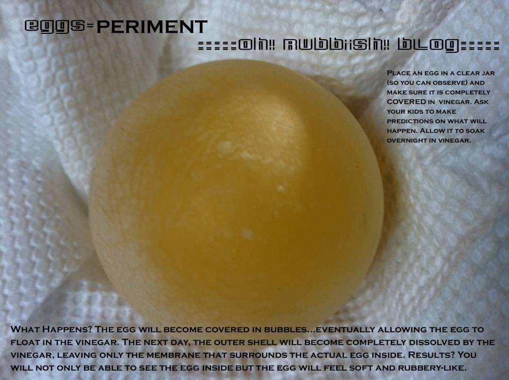 egg-SPERIMENT by oh rubbish blog