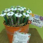 Thanks a BUNCH! Pencil Flower Bouquet :: Teacher Appreciation Day Gift Idea :: oh! rubbish! blog