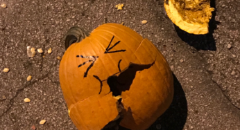 :: Smashing Pumpkins :: 🎃 ::  New Years Edition ::